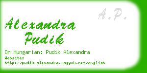 alexandra pudik business card